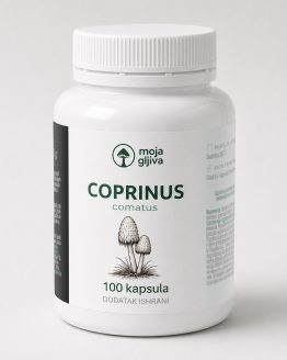 Coprinus Comatus - sušeni prah u kapsulama 40g (100 kapsula)