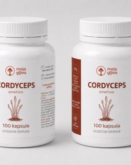 2x Cordyceps Sinensis - sušeni prah u kapsulama 2x 40g (2x 100 kapsula)