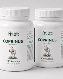 2x Coprinus Comatus - sušeni prah u kapsulama 2x 40g (2x 100 kapsula)