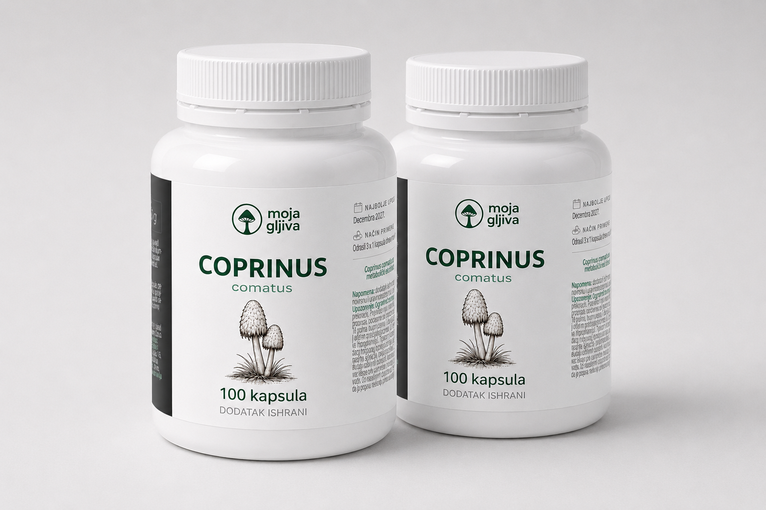PNG.2xKOPRINUS